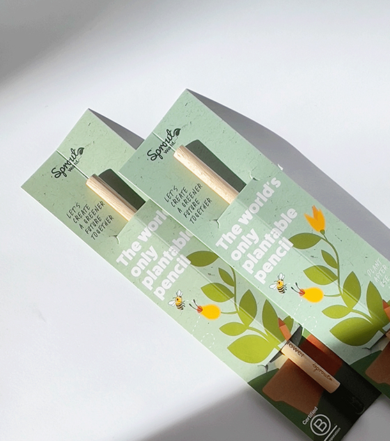 Alternative view of ΜΟΛΥΒΙ ΠΟΥ ΑΝΘΙΖΕΙ